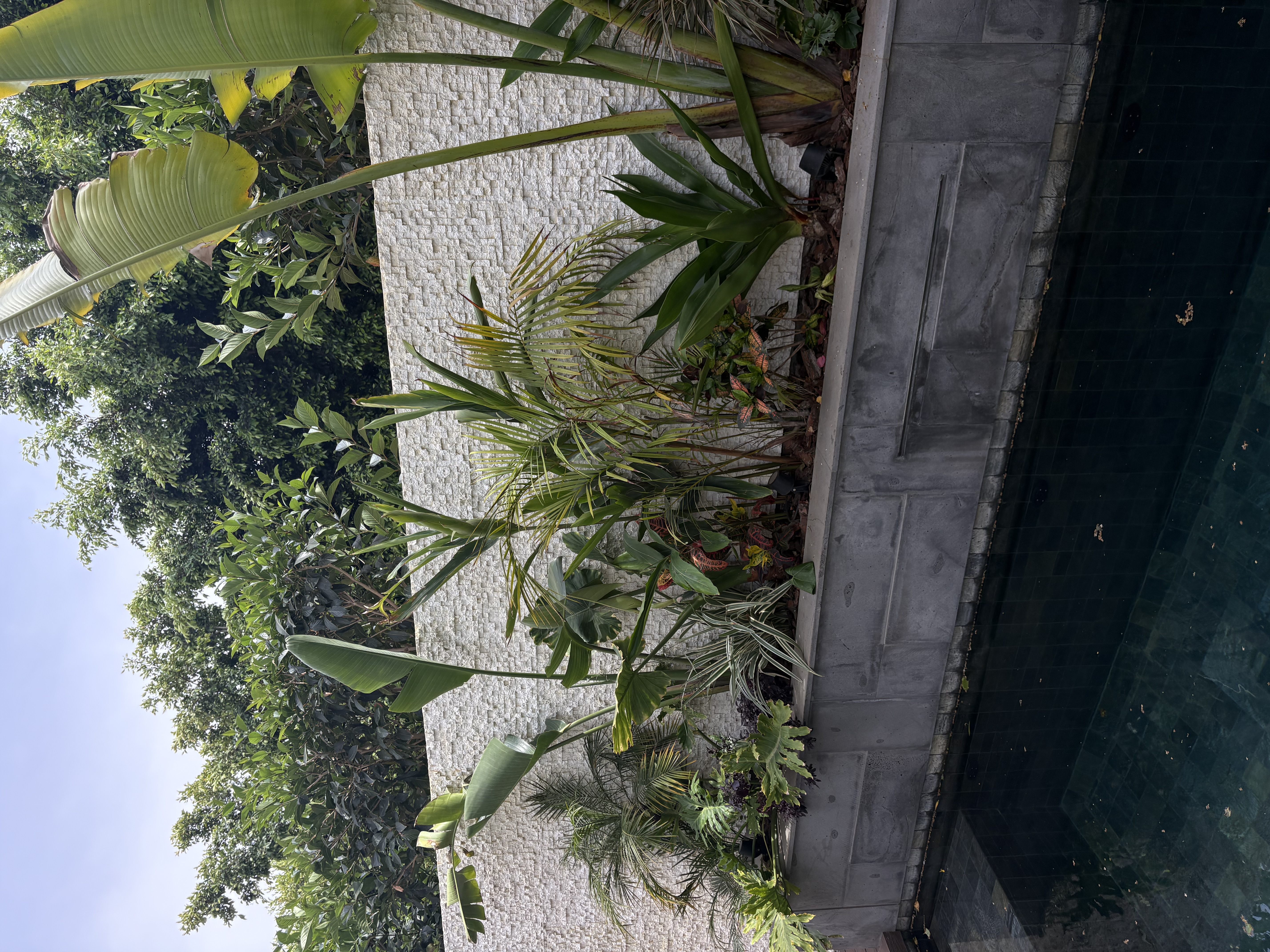 Cubo — mur de jardin et piscine