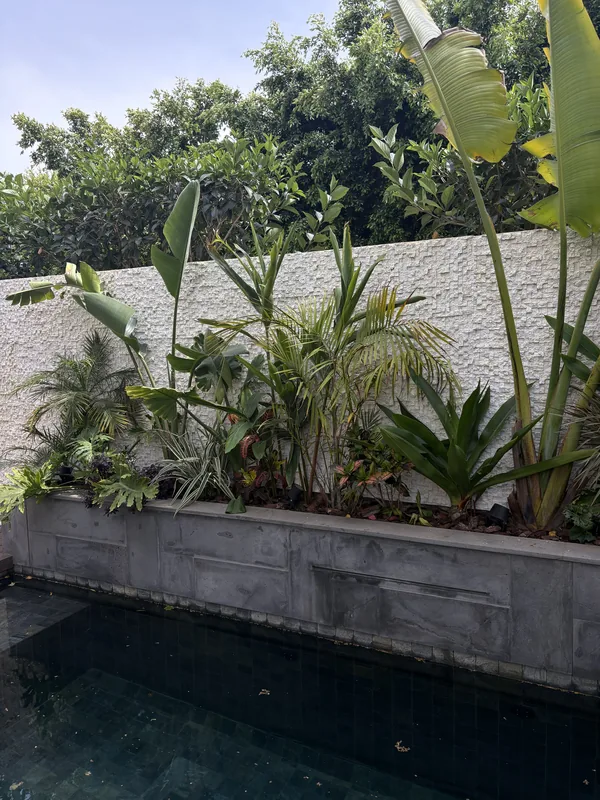 Mur de jardin au-dessus d'une piscine à Californie, habillé en Cubo peint blanc
