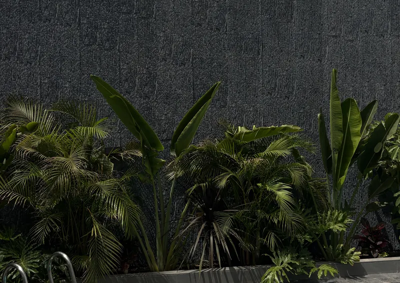 Mur de piscine à Californie habillé en Mattoni peint anthracite, derrière des plantes tropicales